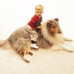 Chem-Dry's primary cleaning solution uses no soaps or phosphates, which means it's not only better for the environment — it's safe and non-toxic for kids and pets.