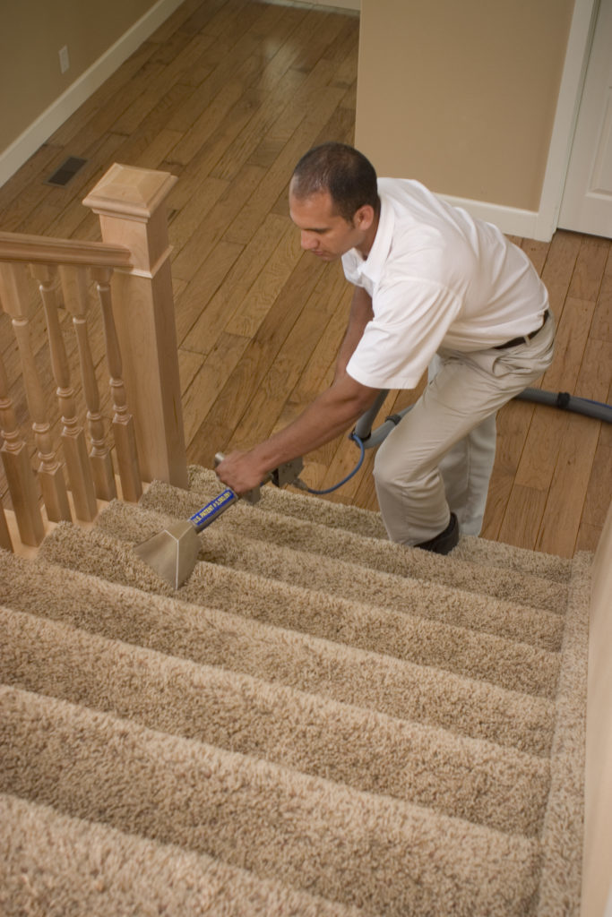 Guy cleaning stairs Chem-Dry carpet cleaning