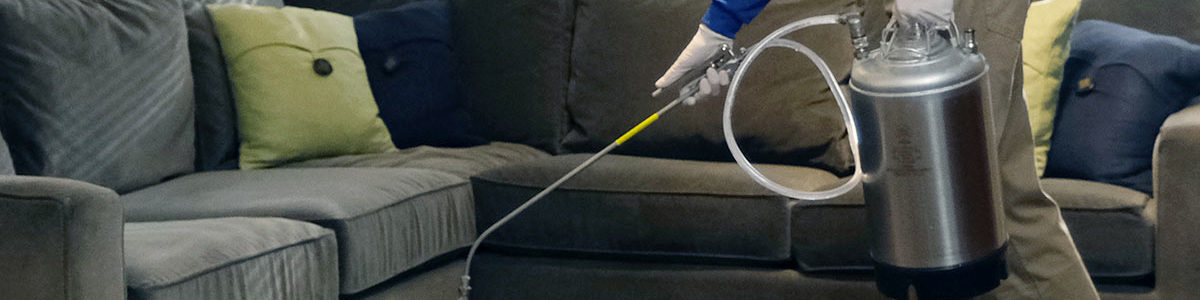 Chem-Dry franchise owner cleans carpet in a living room