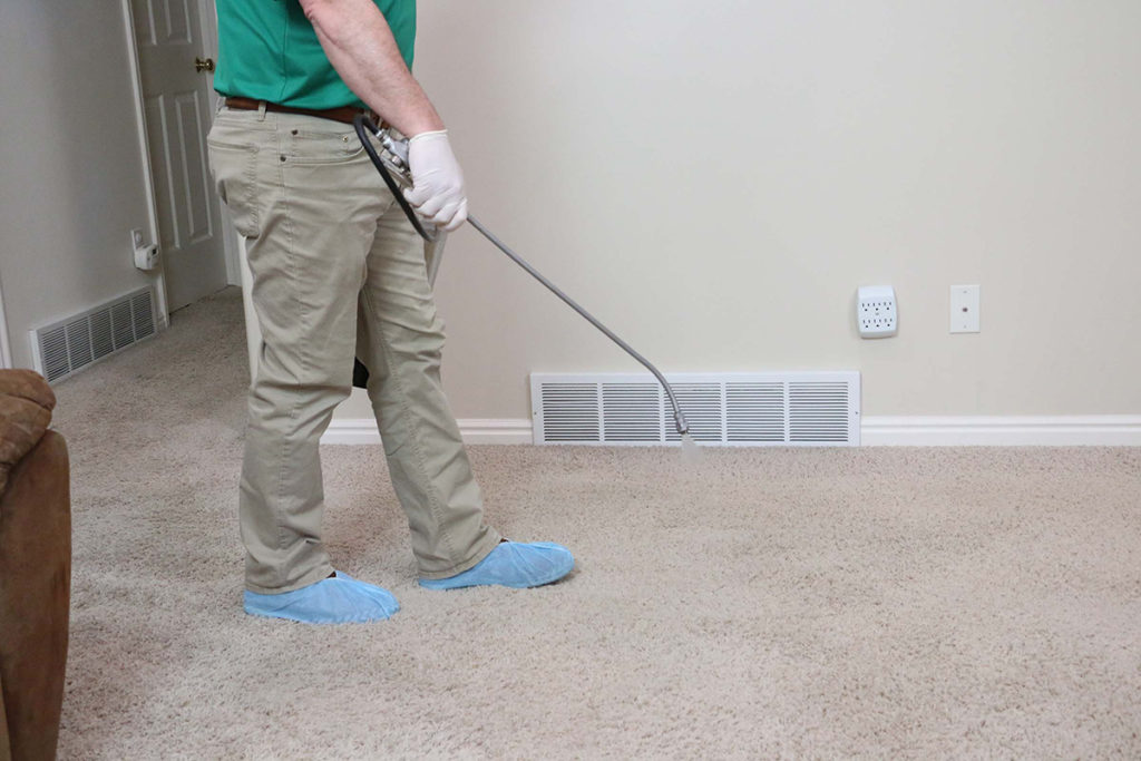 Chem-Dry franchise owner cleans carpet